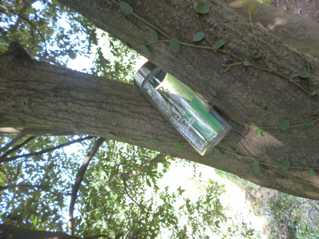 库存正品利百加牌双层玻璃杯lb8147(金口生产)