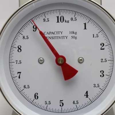 铁皮小台秤 指针弹簧称 家用厨房度盘称 称量10kg 教学仪器