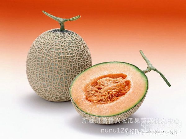 批发新疆蔬菜瓜果优质哈密瓜_金皇后_98密甜瓜_上等礼品