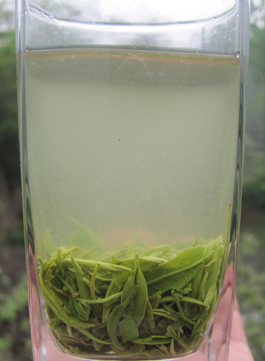 信阳毛尖雨前茶一级一芽一叶 2012年四望山信阳毛尖大山茶新茶