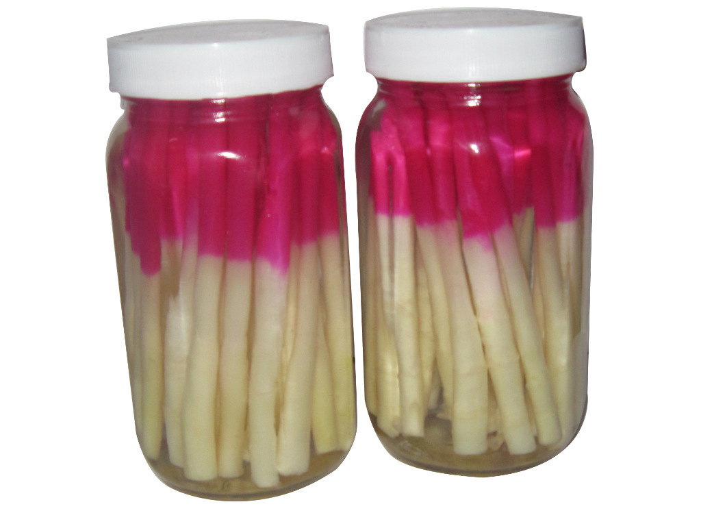 优质红白姜芽日本料理山东出售