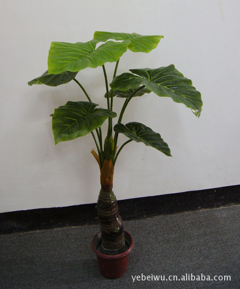 flt0011 小滴水观音仿真树 高度:91cm