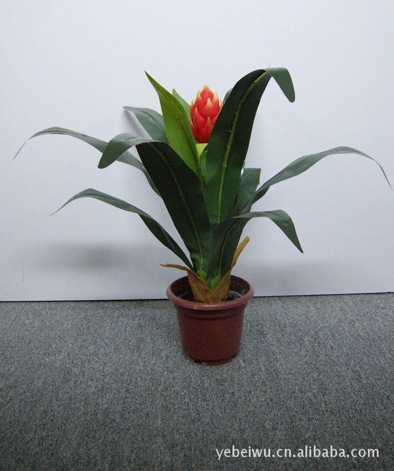 flt0001 鸿运当头小盆景 仿真树 高度:40cm