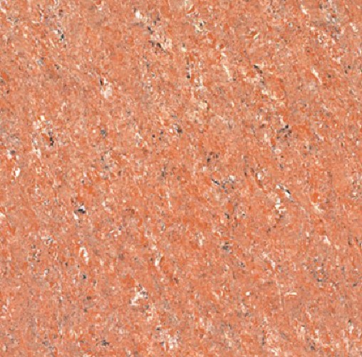 800×800 红色聚晶瓷砖 抛光地砖jtf8221 厂家直销