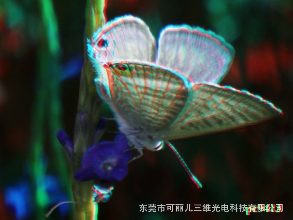 纸材红蓝颜色互补立体3d眼镜