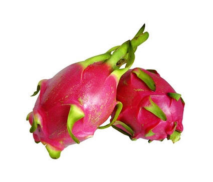 白心火龙果3.8元一斤又叫玉龙果海南本地产新鲜个头大甜度高