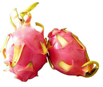 白心火龙果3.8元一斤又叫玉龙果海南本地产新鲜个头大甜度高