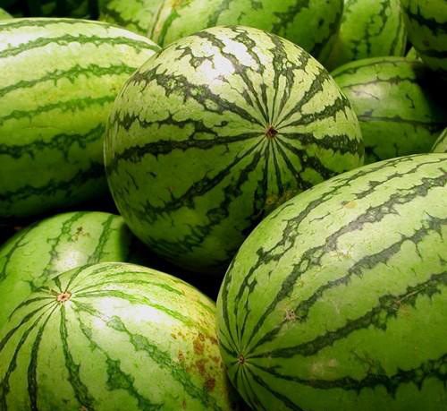 供应甜王西瓜(每年的6.7.8月份) 西瓜批发 西瓜价格