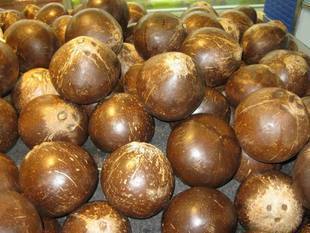 海南椰子/椰青/椰王/刨光椰子/老椰子/红椰子/青椰/红椰