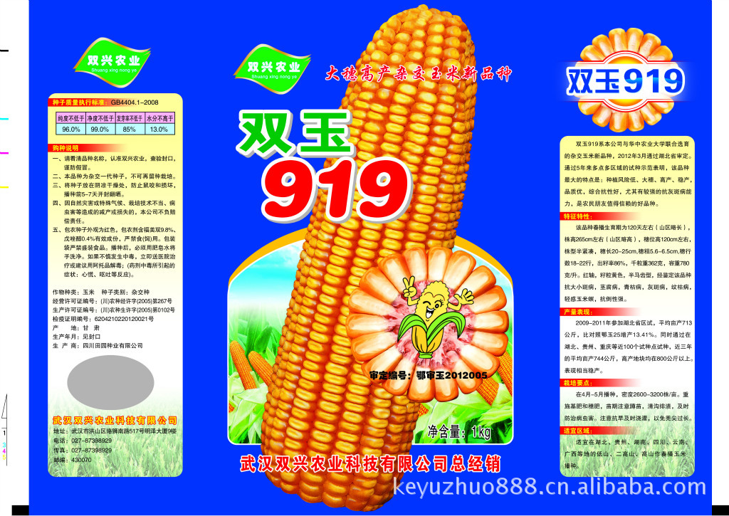 双玉919玉米新品种