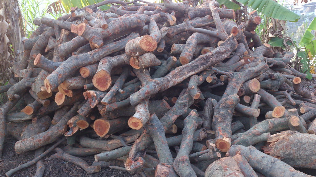 餐厅专用烤牛扒果木柴,荔枝柴,龙眼柴