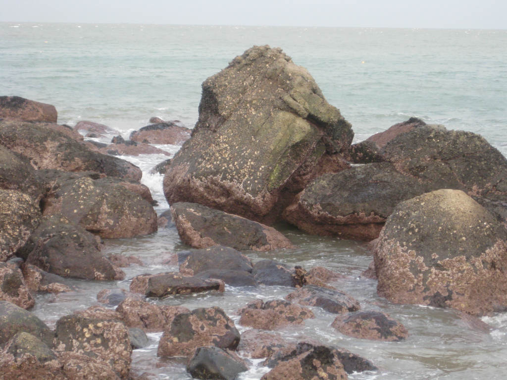 海里的石头图片