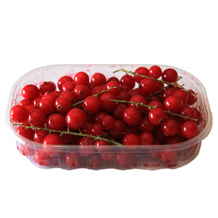 安德鲁 爱果士速冻水果系类 速冻带茎/枝红加仑125g