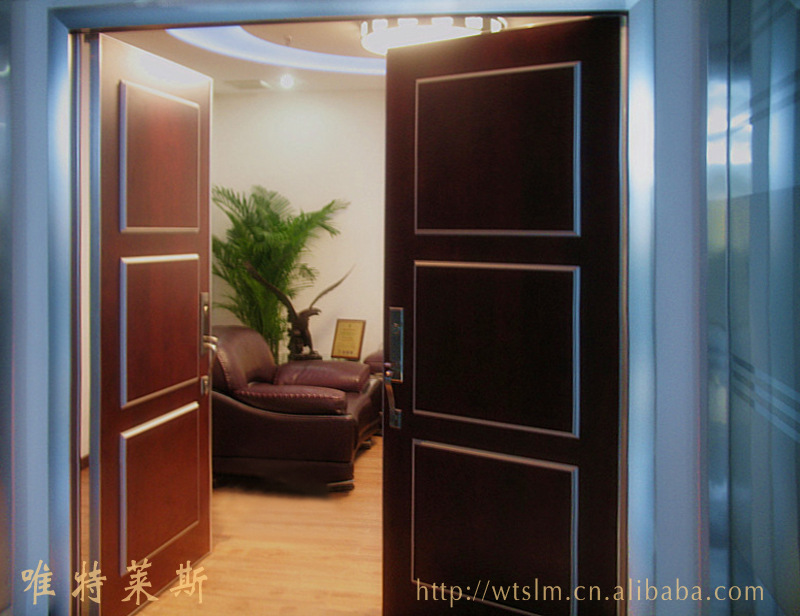 办公室大门/现代大门/时尚入户大门/长沙