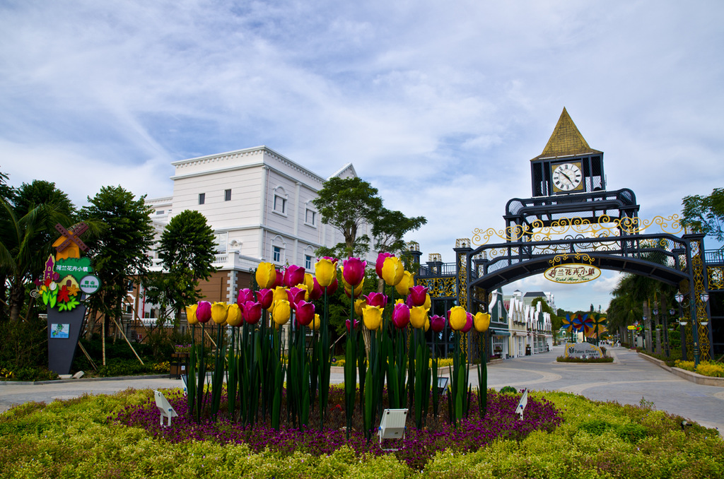 【本周旅游景点图集】  荷兰花卉小镇(热帖以奖)