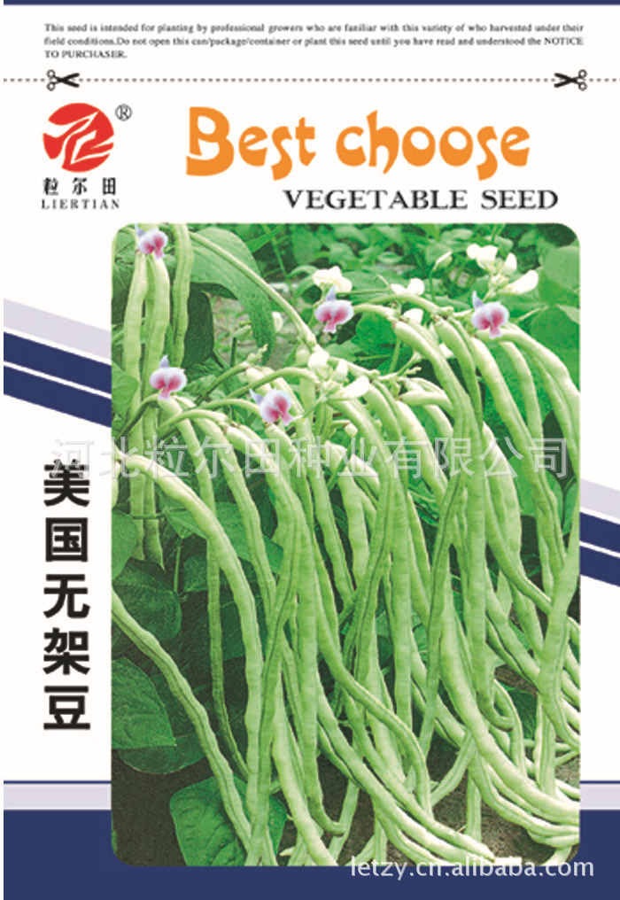 供应农业蔬菜种子优质豆角种子无架豆种子粒尔田美国无架豆种子