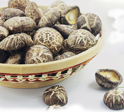 天然山珍/产地直销/西峡特产/干货--花菇图片_1