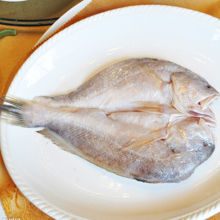 供应【进口水产】厂家直销开片缅甸黄鱼/腌制黄鱼/冰鲜黄鱼 肉质鲜美