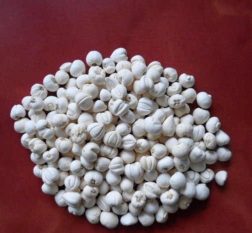 川贝 止咳嗽 化痰 中药材 补品药材