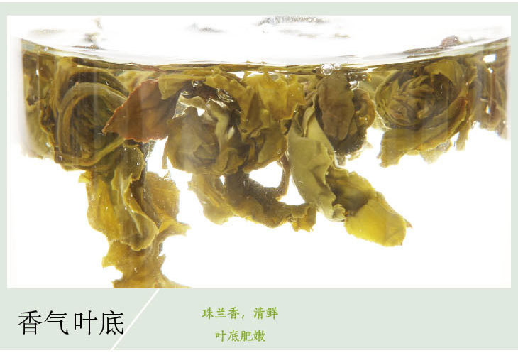 屏峰天山绿茶 龙珠精制茶1号 福建宁德绿茶原产地散装500g