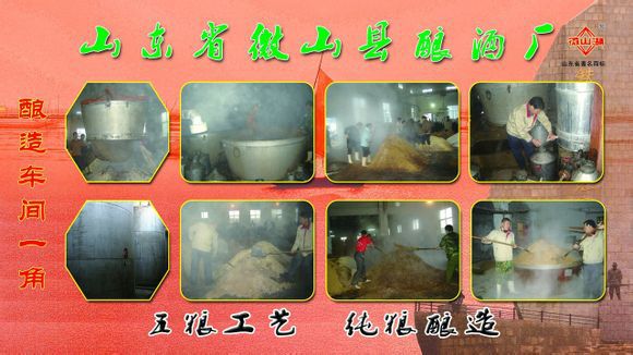 鸿运当头微山湖特曲酒 39度500ml 厂家** 长年供应