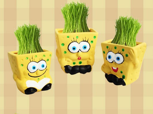 741韩款迷你桌面植物 海绵宝宝系列 栽培幸福 青草种植魔草批发