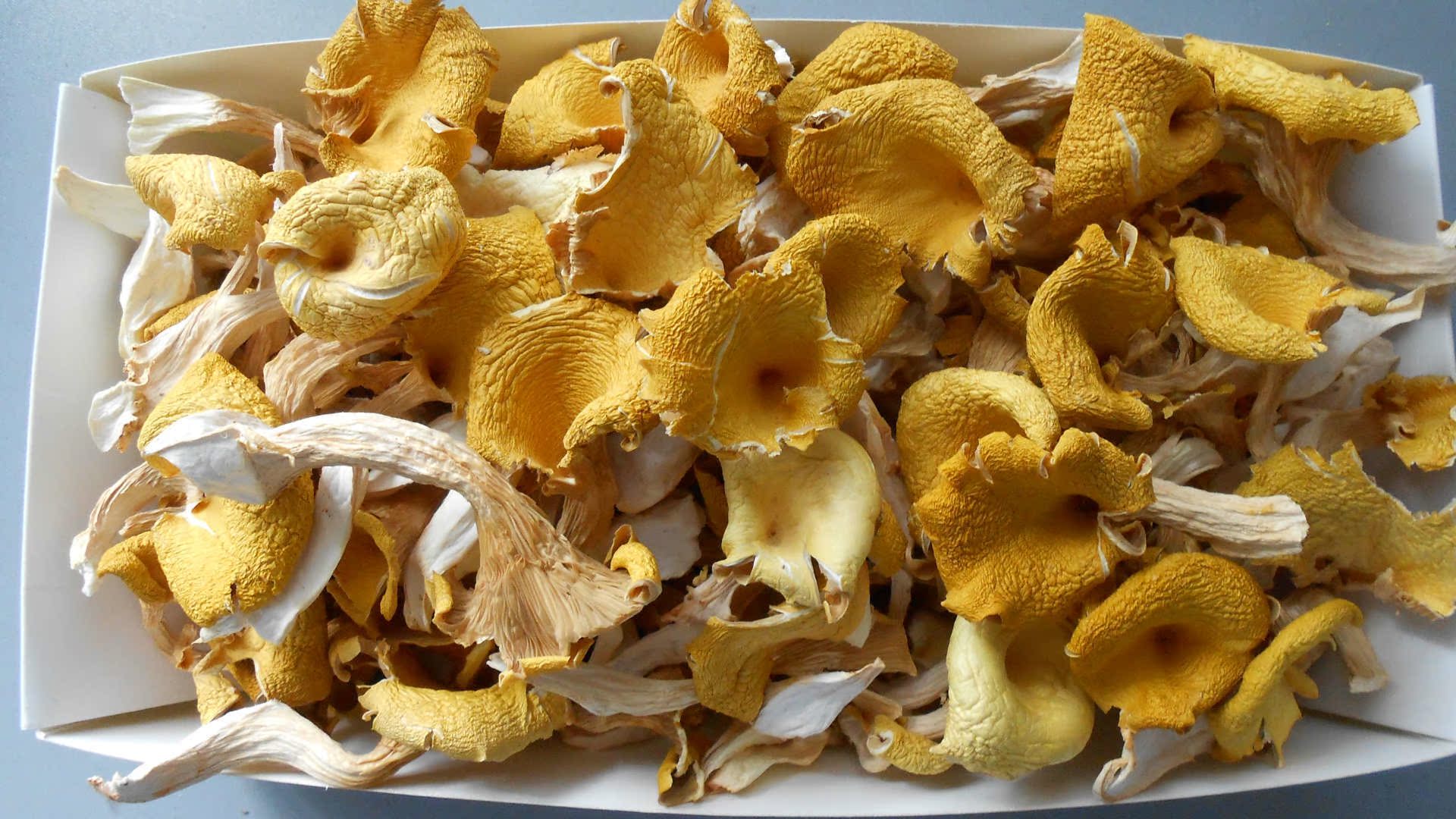 供应信息 其他薯豆蔬菜制品 新品热销 云南特产《山里香》 鸡汤菌干片