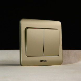 西门子 远景金棕系列 二开单控开关
