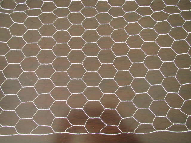 六边形铁丝网厂家联系方式 六角网多种规格定做 加工六角网 超值