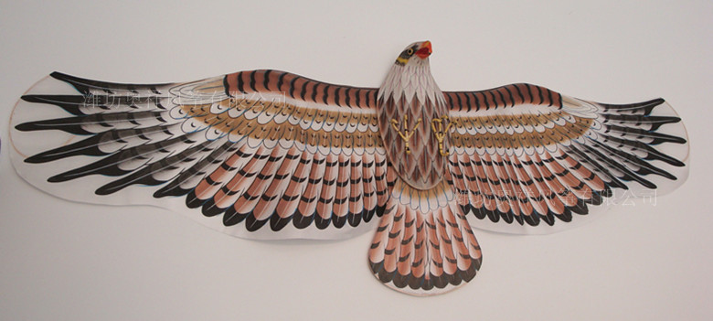 供应diy空白老鹰风筝,教学风筝,风筝定制图片_6