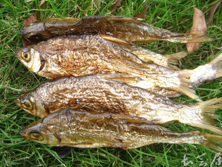 2013年新货 千岛湖野生鱼 野生鱼干 肉厚优质弯弯皮