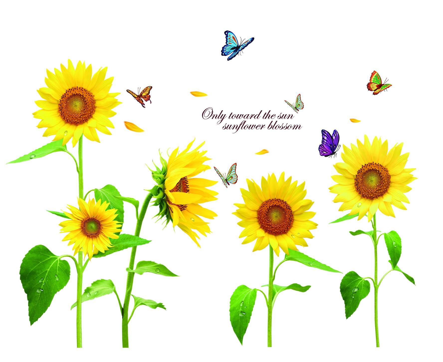 厂家直销 xy1106墙贴 三代可移pvc透明膜墙纸