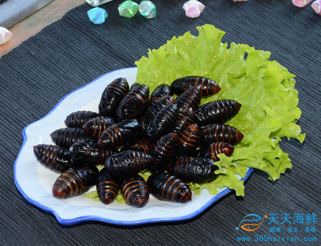 天天海鲜鲜活蚕蛹500g土特产美食年货即食蚕蛹高蛋白延缓衰老