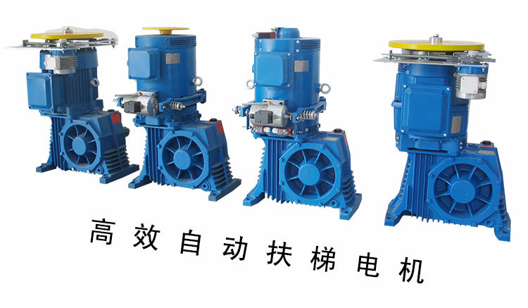 自动扶梯用三相异步电动机