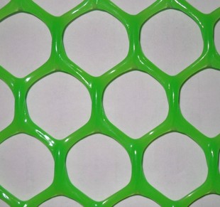 供应塑料网片 塑料平网养殖网 塑料网片批发 塑料平网厂