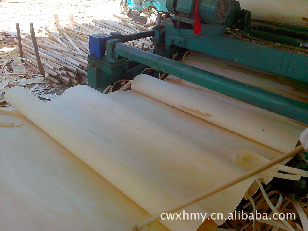 厂家直销销售杨木皮 杨木面板批发 建筑模板 建筑覆膜板材料批发-木皮