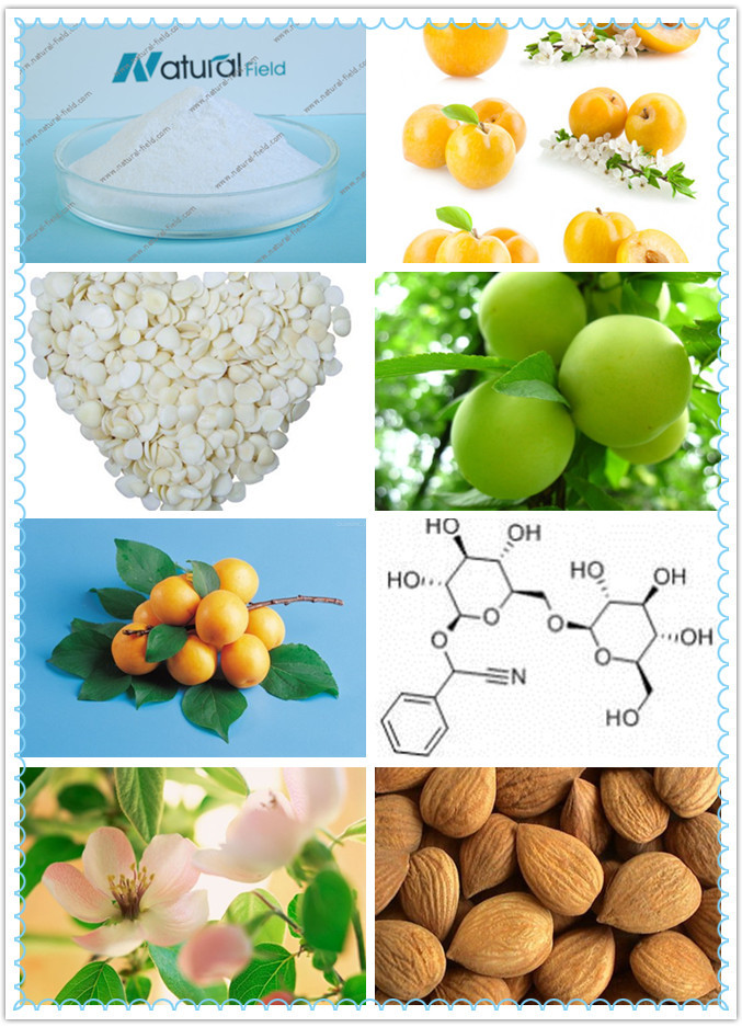 【苦杏仁甙99 天然苦杏仁提取 抗癌 天丰供应】价格,厂家,图片,植物