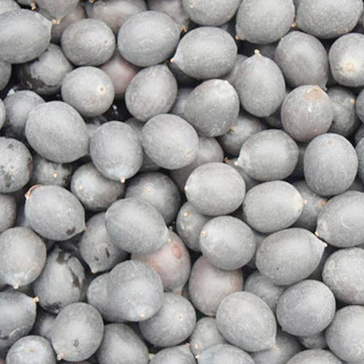 诚信经营 湖南湘潭直销 精选纯天然莲壳 上等壳莲