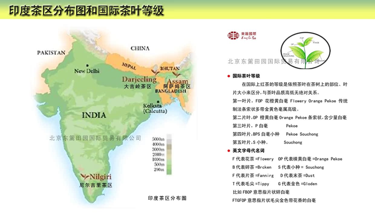 精品红茶印度原装大吉岭红茶木盒