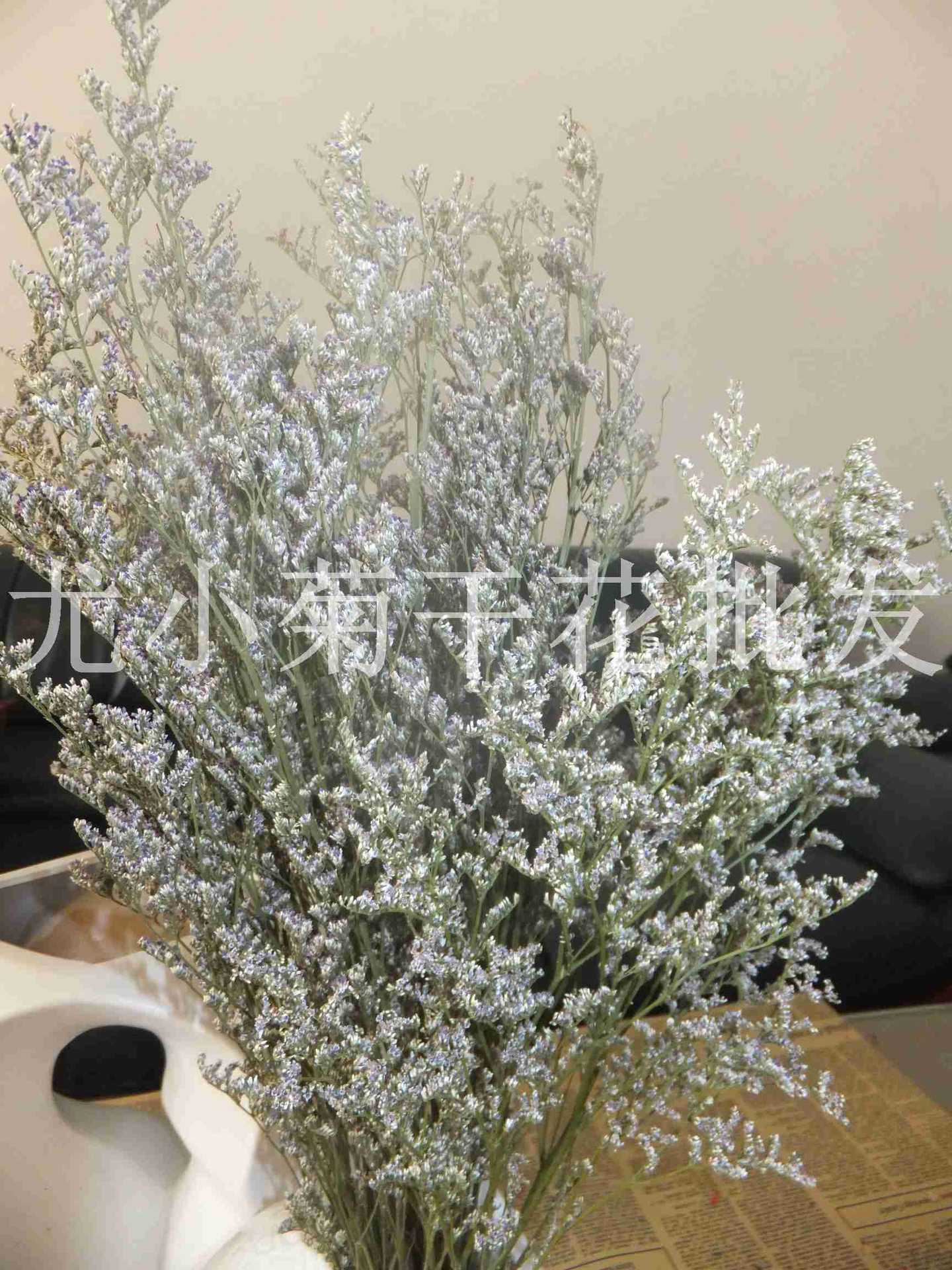 批发家居干花鲜花百搭摆饰装饰花 天然干花 情人草图片_7