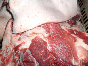 【供应】优质带膘二号冷鲜猪肉|分割肉批发 生产厂家直销 价格低