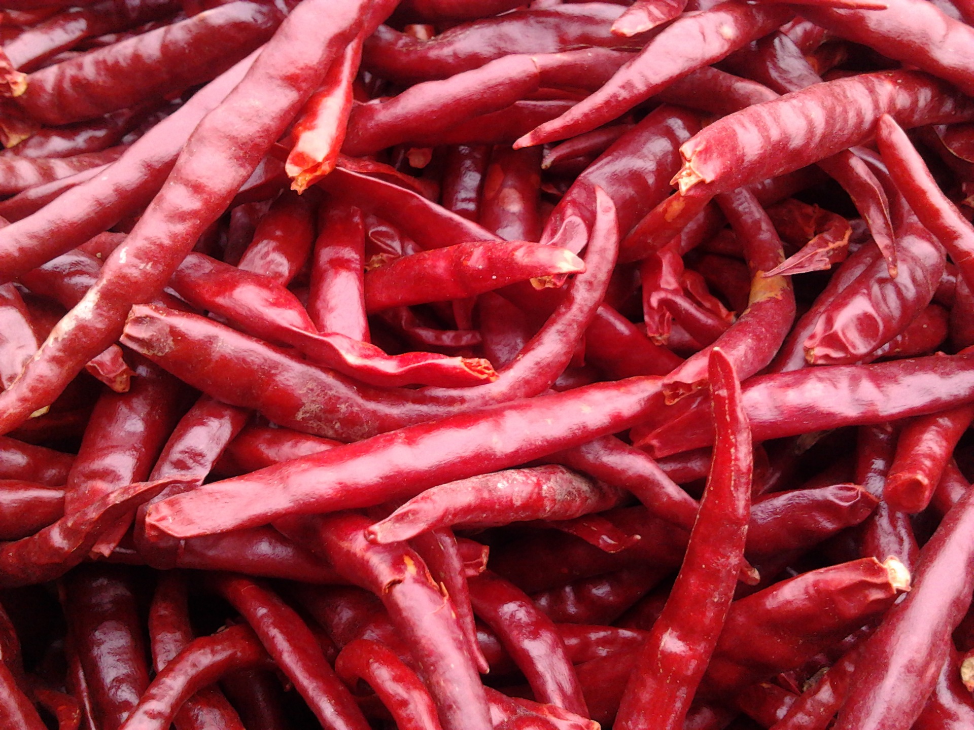 云南丘北小椒精品家庭装