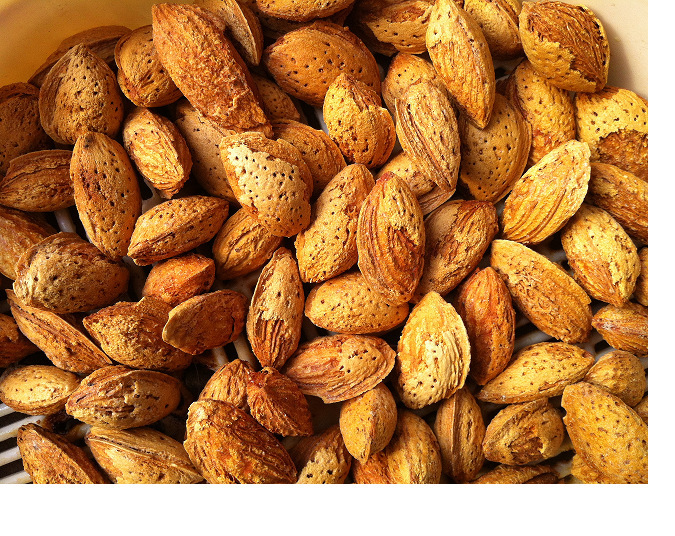 笑口巴旦木(龙果)