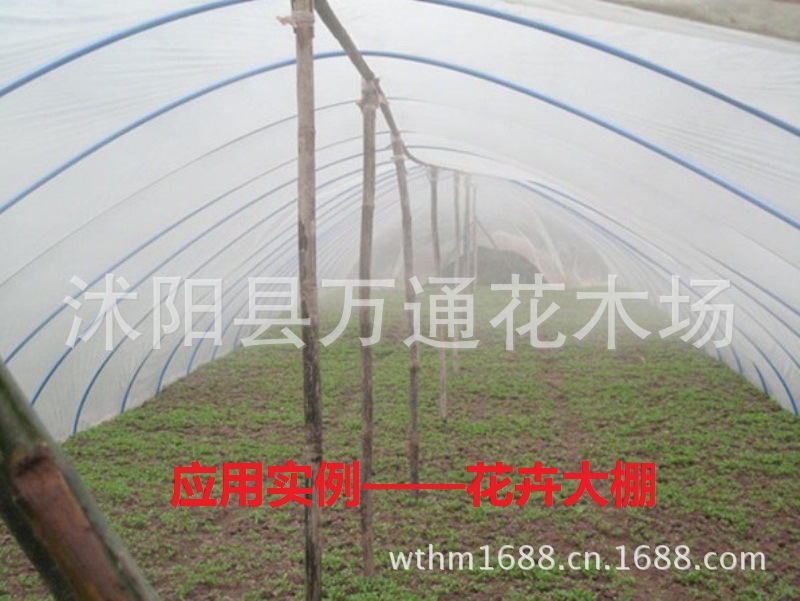 厂家批发塑料薄膜 耐高温塑料薄膜 农用薄膜 温室大棚膜 无滴膜