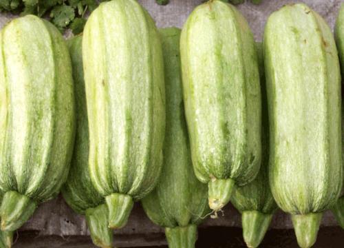 昆明绿琦农业科技有限公司