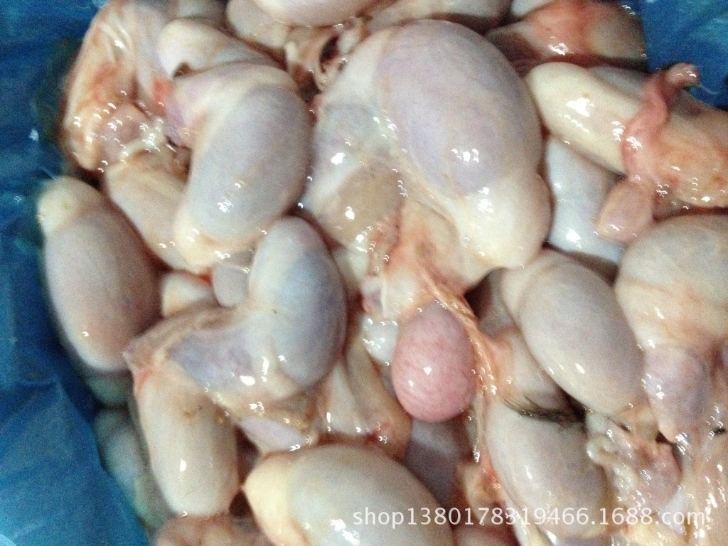 供应厂家批发猪睾丸