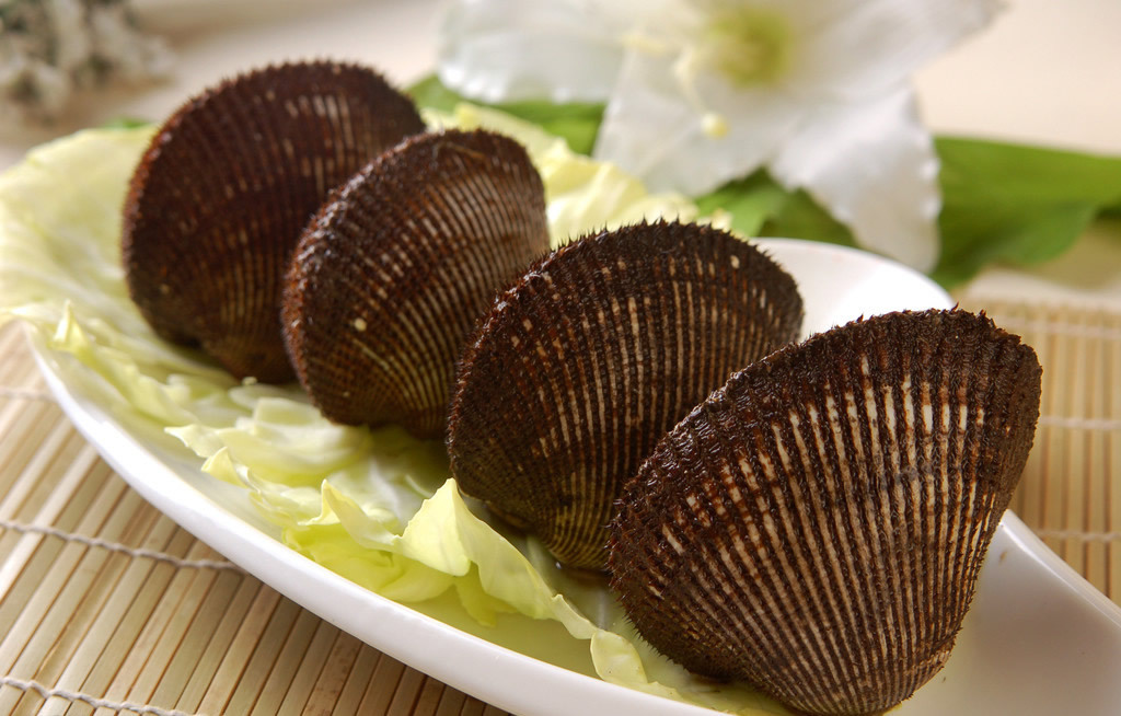 精品供应 大赤贝/鲜活海鲜水产品/海产品