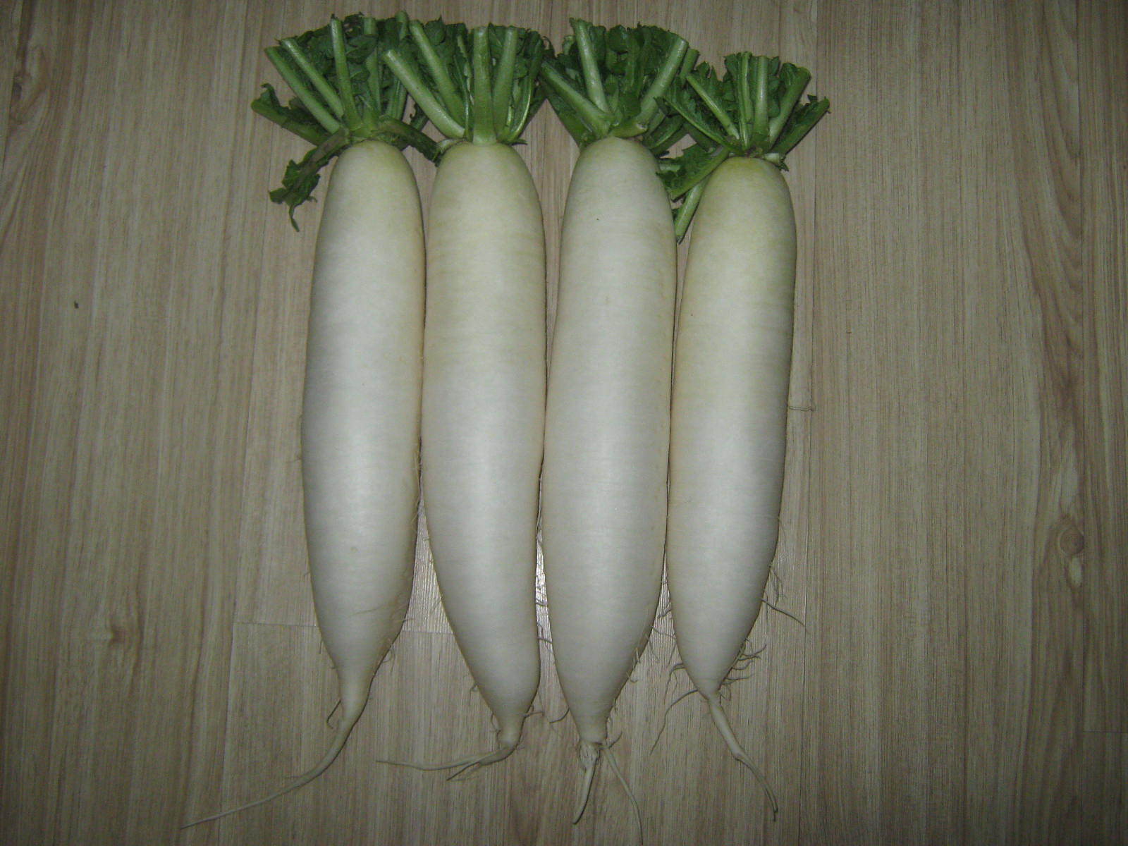 供应信息 新鲜蔬菜 预售新鲜白萝卜价格面议 【性味】凉,甘,辛.