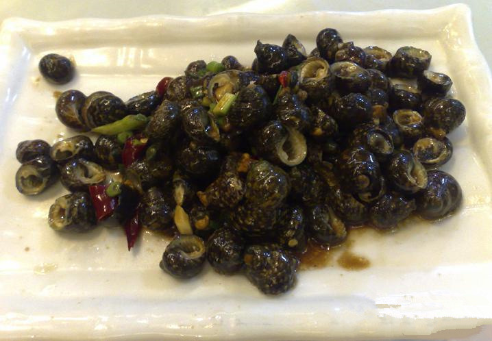 新鲜芝麻螺东海芝麻螺石塘小网海鲜新鲜无污染天然海鲜