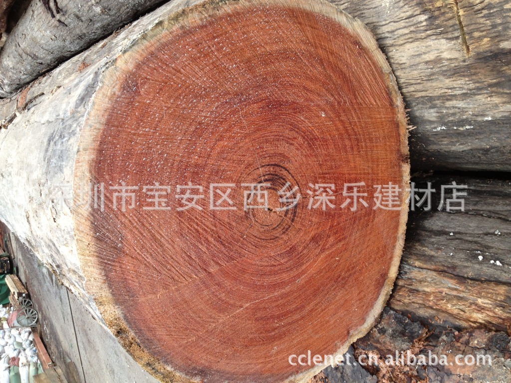 金笔木,(第14页)_大山谷图库